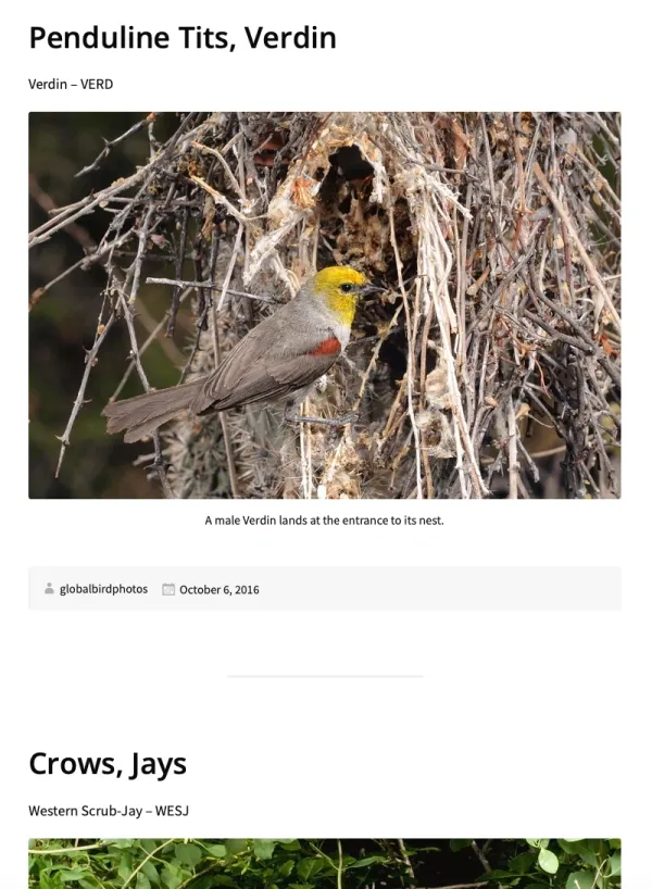 Book Covers & Website Snapshots - 17