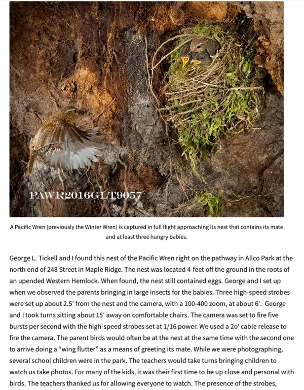 Book Covers & Website Snapshots - 21