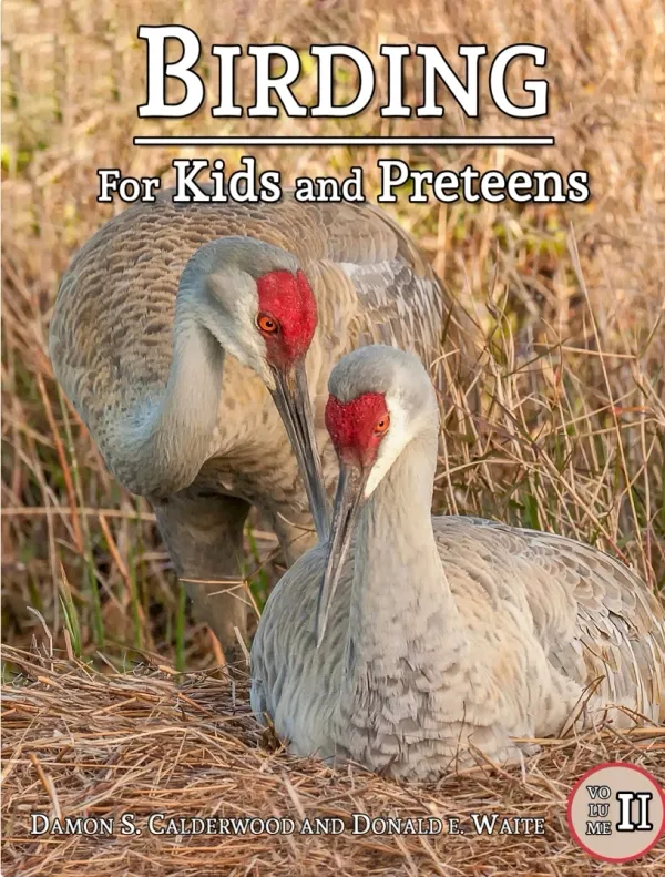 Book Covers & Website Snapshots - 28