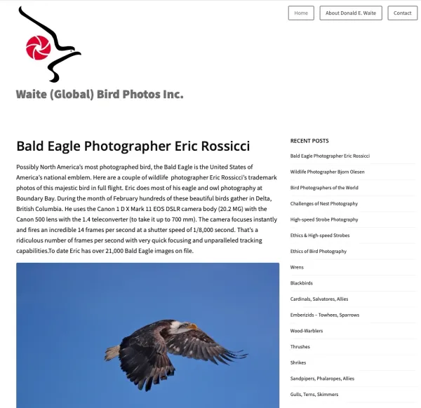Book Covers & Website Snapshots - 9